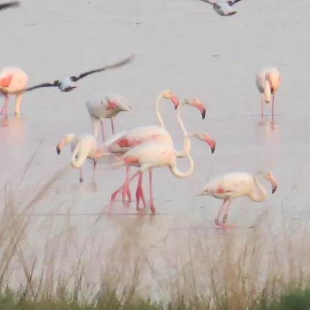 Villetta Cenam 37 * Lido delle Nazioni